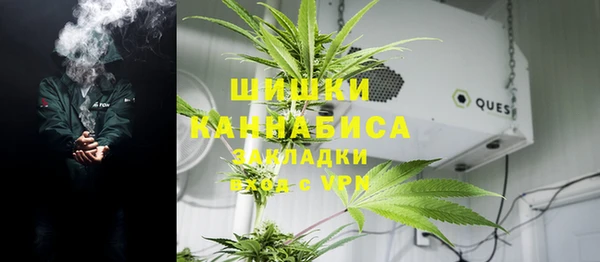 мдпв Богородицк