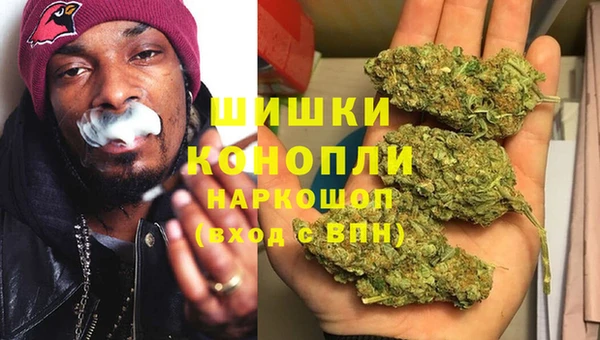 мдпв Богородицк