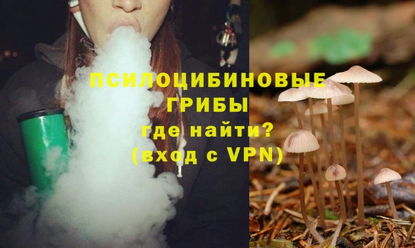 прущие крисы Богданович