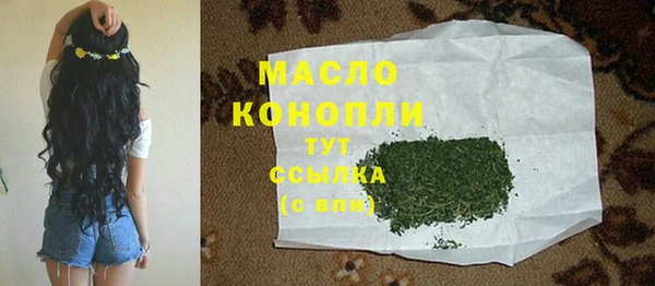 мдпв Богородицк